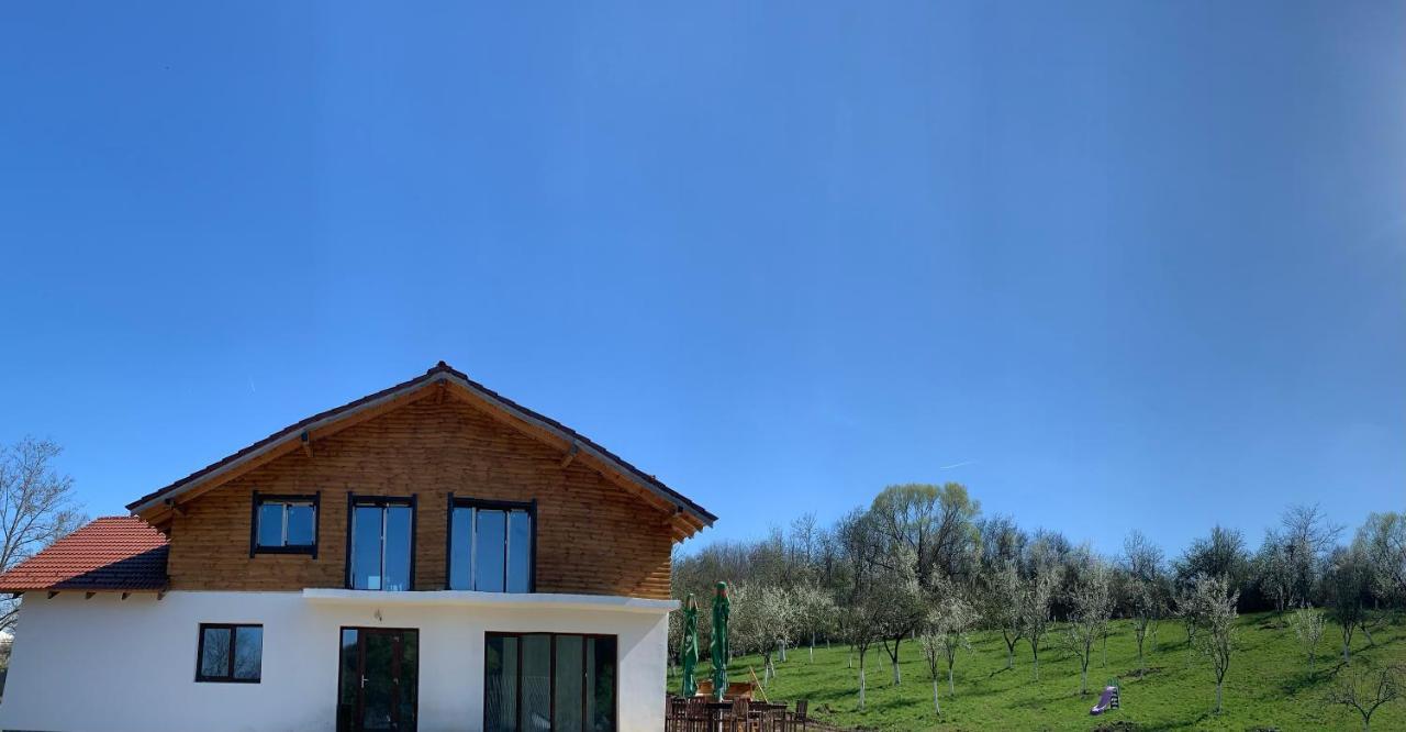 Pensiunea Lili'S House Buchin Exterior photo